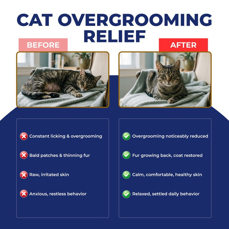 Cat Overgrooming Relief