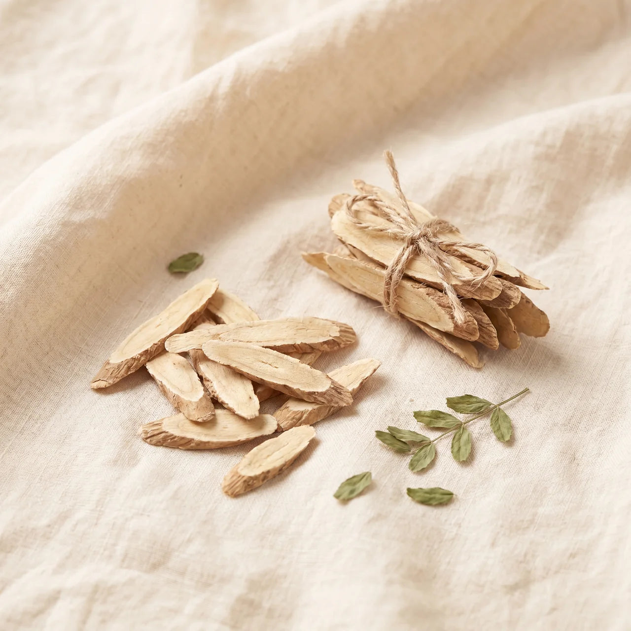 Astragalus Root Extract (2mg)