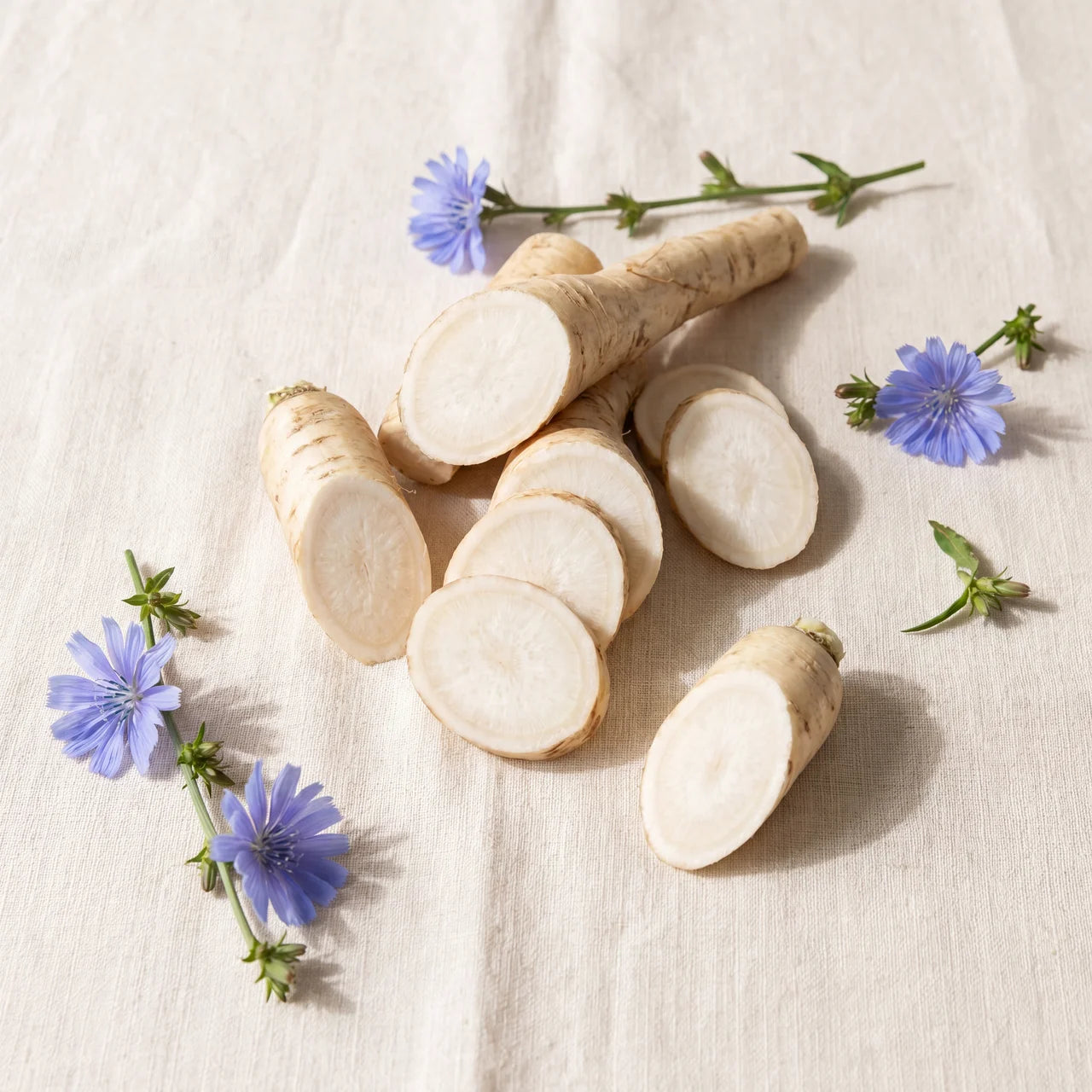 Inulin Prebiotic (20mg)