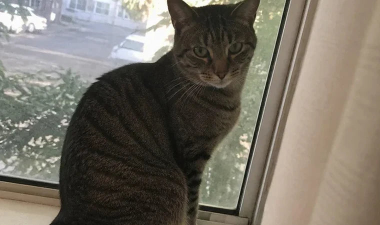 Jenna R., 29 — mom to Pepper, 5